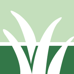 Strive Top Dressing