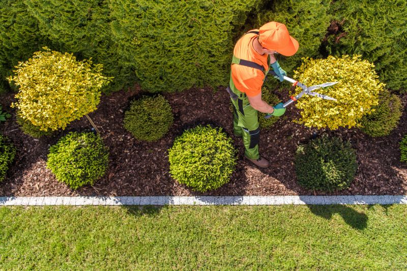 Top Dressing