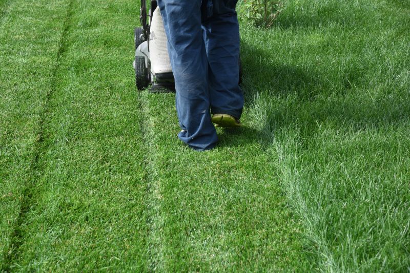 The Difference Professional Lawn Mowing Makes