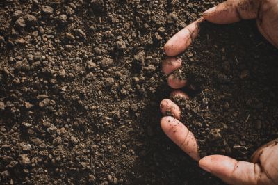 Apply Organic or Inorganic Material to Your Lawn or Garden!