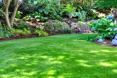 Provide Nutrients for Plant Growth for More Vibrant Landscaping!